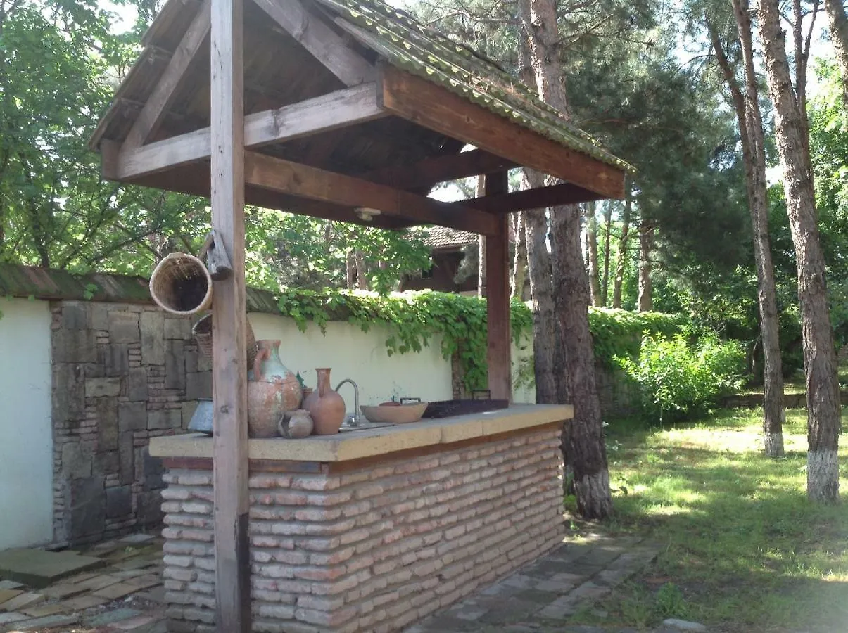 Rare House With Garden Villa Tbilisi