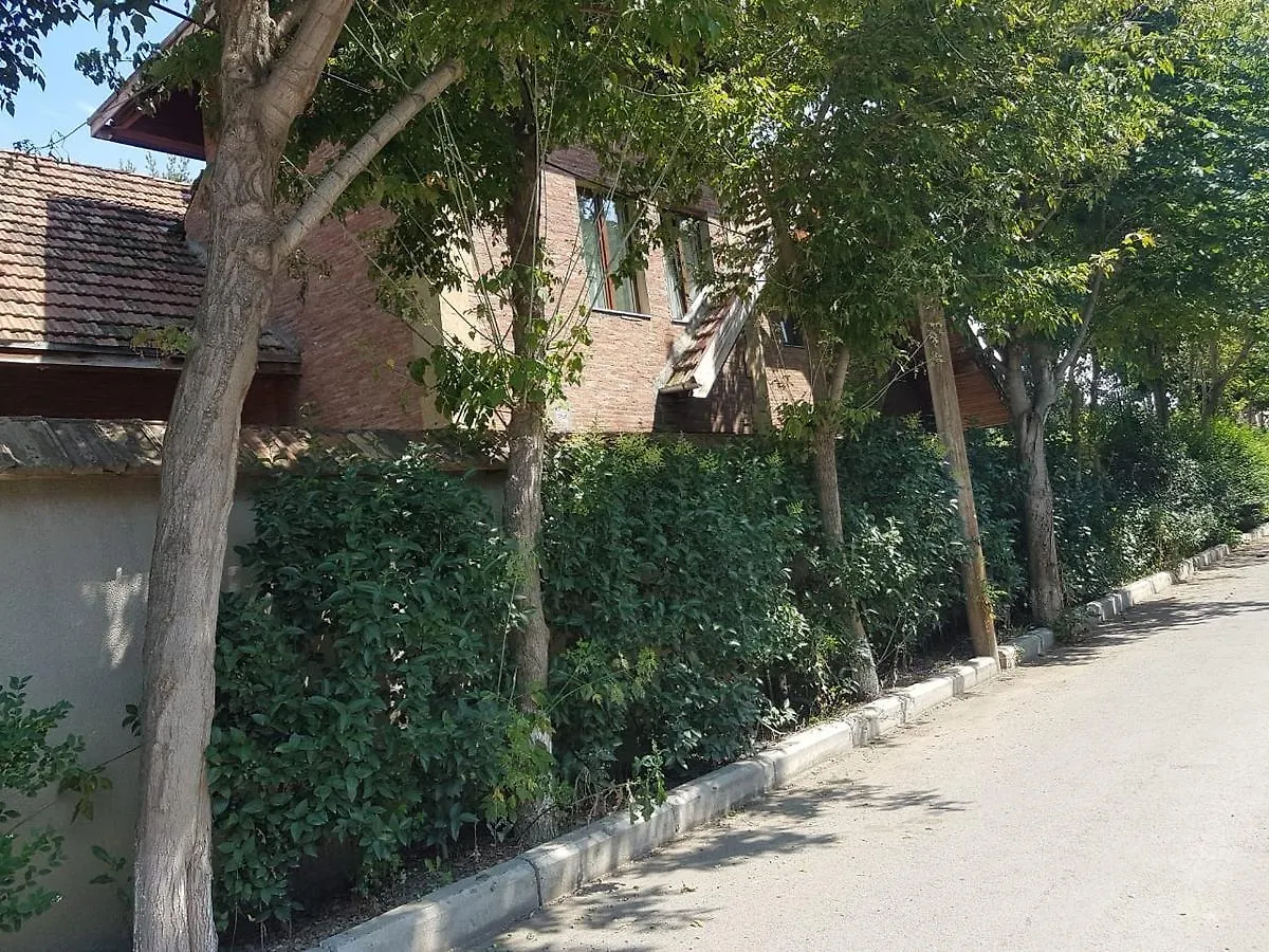 Villa Rare House With Garden Tbilisi Georgien
