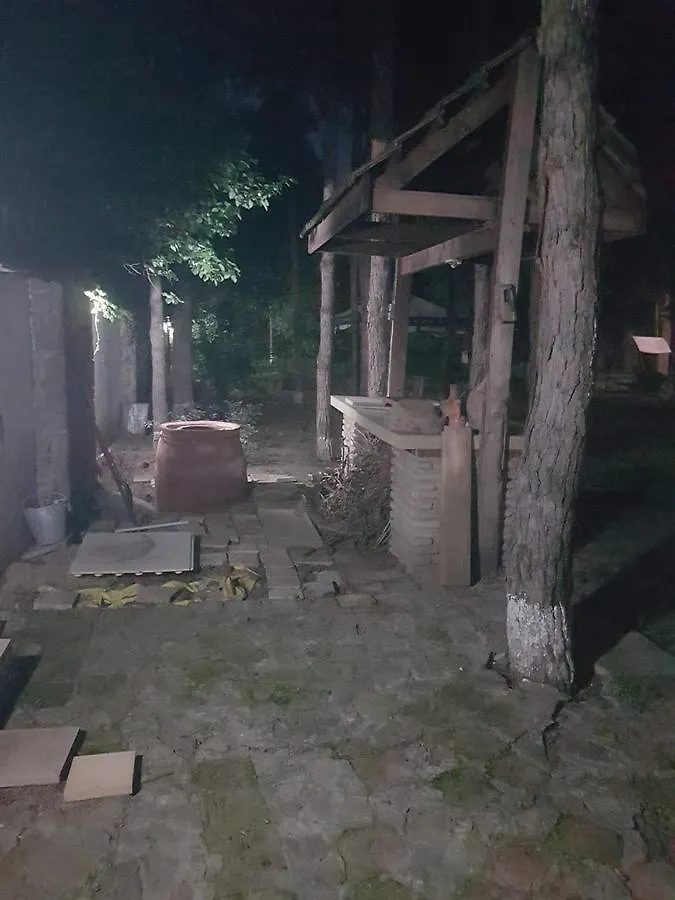 Villa Rare House With Garden Tbilisi Georgien